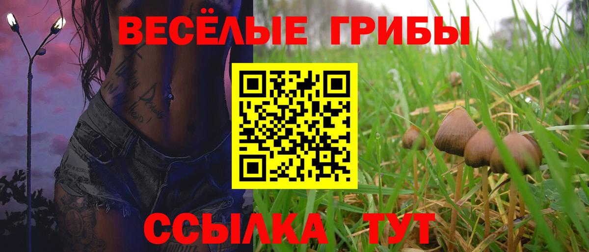 Псилоцибиновые грибы Psilocybine cubensis Евпатория